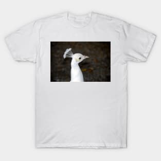 White Bird T-Shirt